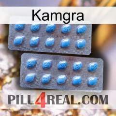 Kamgra viagra4